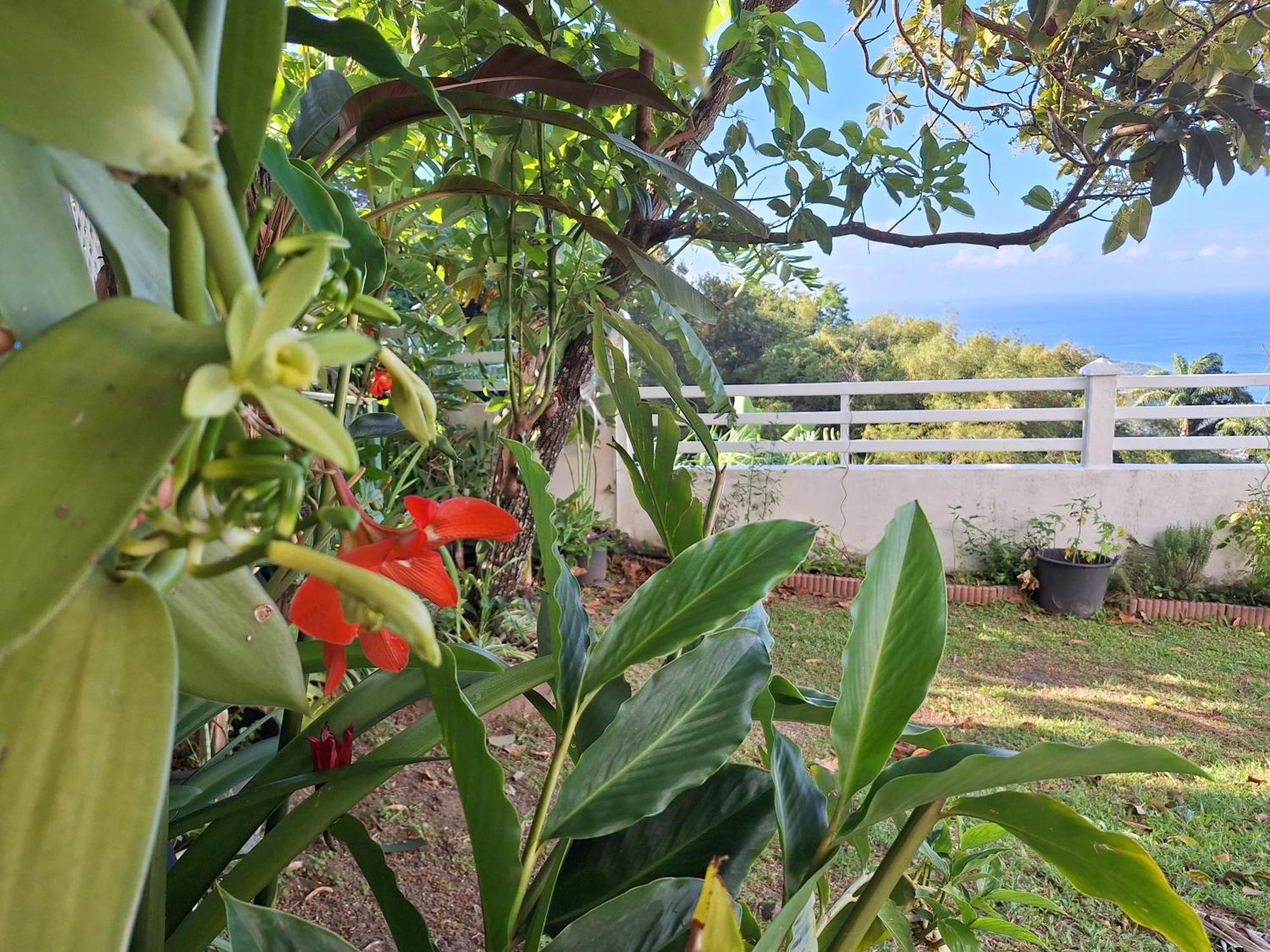 Belavue & Spa Prive, Avec Vue Panoramique Sur Mer, Jardin Creole Paysager, Jacuzzi Prive Bouillante Oda fotoğraf